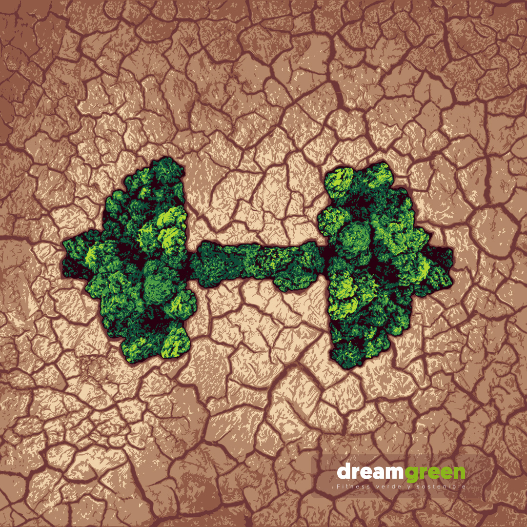 dreamgreen